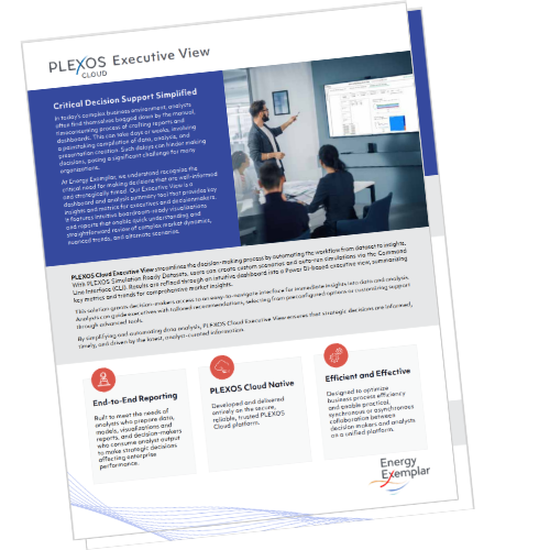 PLEXOS Executive View Brochure