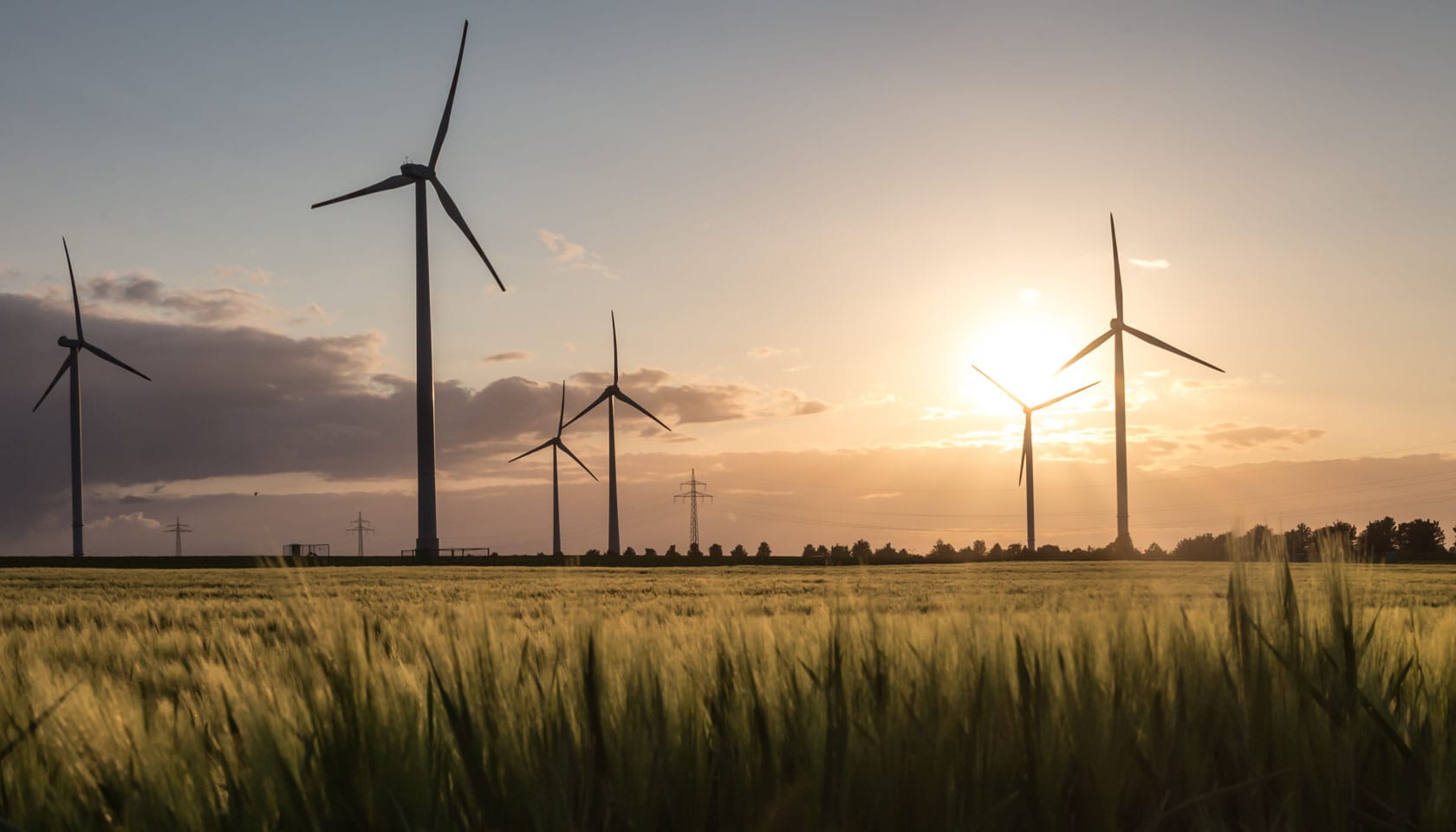 windfarm-field