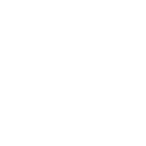 rocketship-white