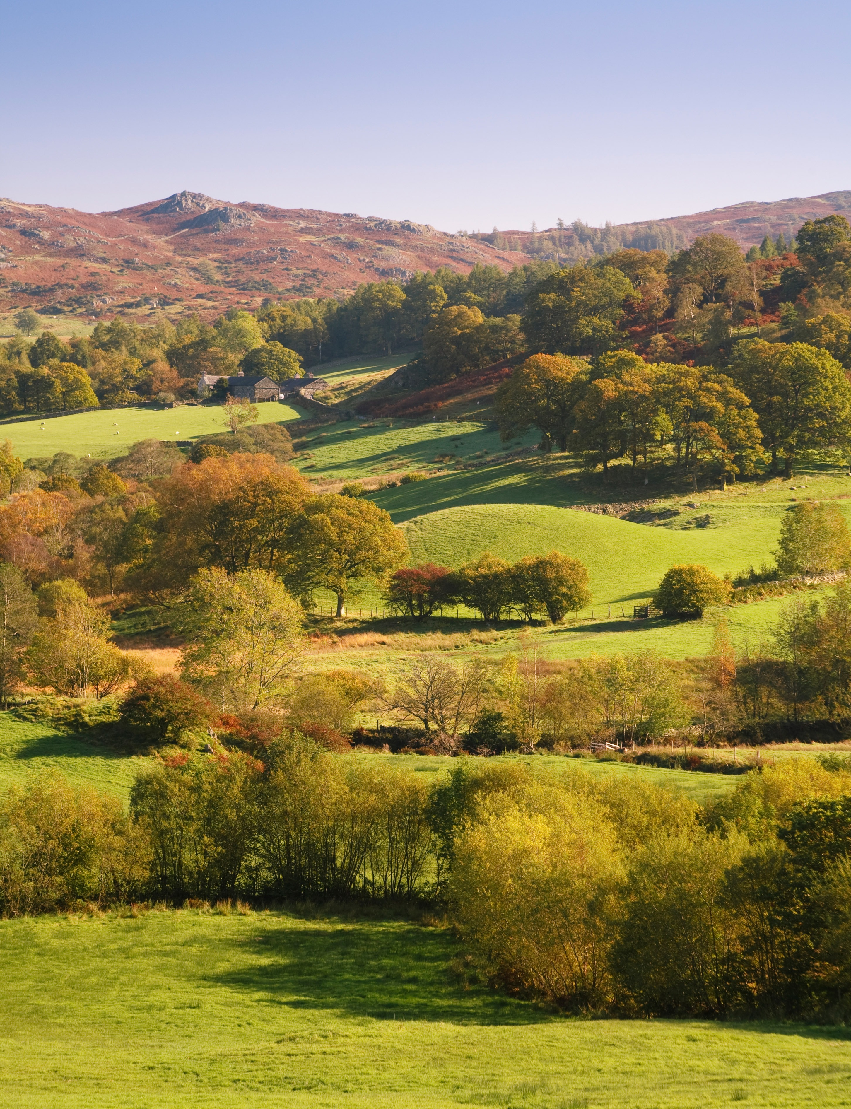 England Countryside-1